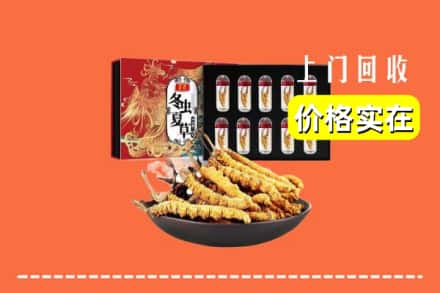遂宁蓬溪县回收冬虫夏草
